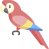 macaw.png